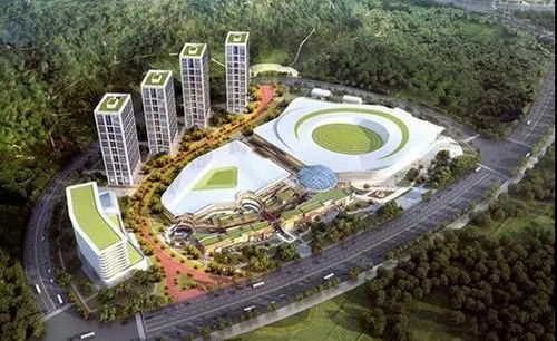 武漢躋身全球二線城市 運(yùn)動(dòng)項(xiàng)目經(jīng)營(yíng)迎來(lái)新機(jī)遇