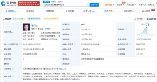 運(yùn)動項(xiàng)目經(jīng)營 策略、挑戰(zhàn)與未來趨勢